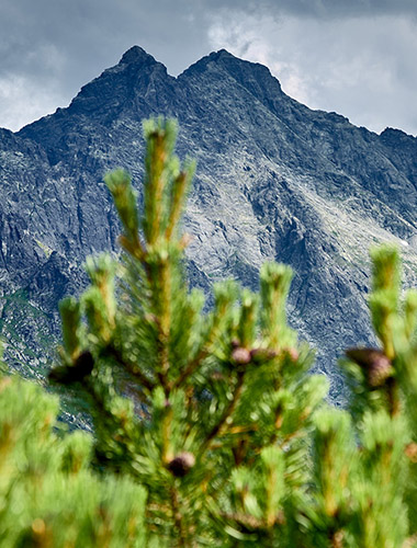 Tatry